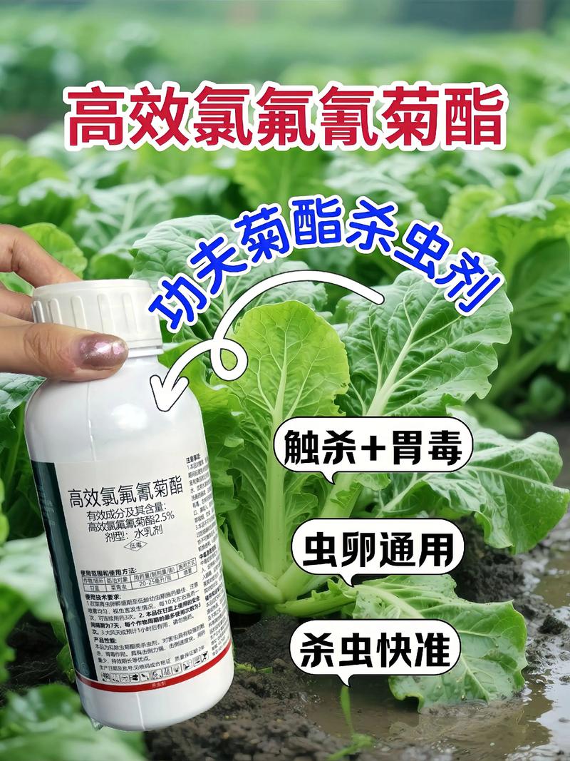 北屯代生中心:农药对供卵代生妈妈的危害